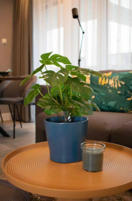 Luxury Cozy 2 Bdr Downtown Apt.2 Budapešť Exteriér fotografie